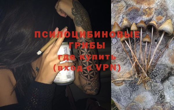 jwh Белокуриха